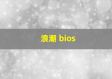 浪潮 bios